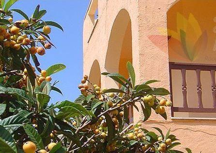 House Margot Hotel Palekastro Bagian luar foto